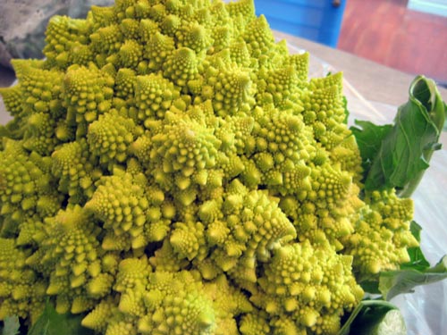 Romanesco