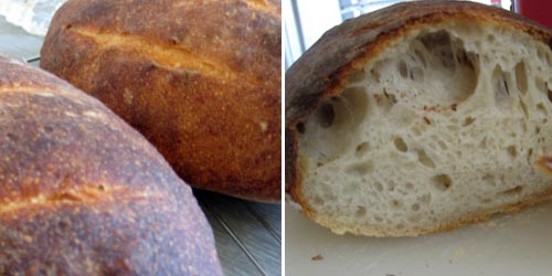 Sourdough Loaves