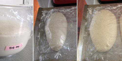 Prepping Sourdough Loaves