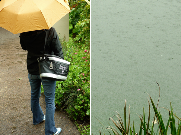 Rainy Day