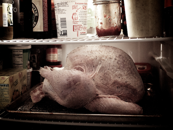 Salting the Bird